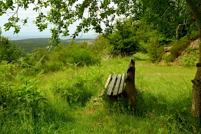 冠的蒙古人 冠的蒙古人