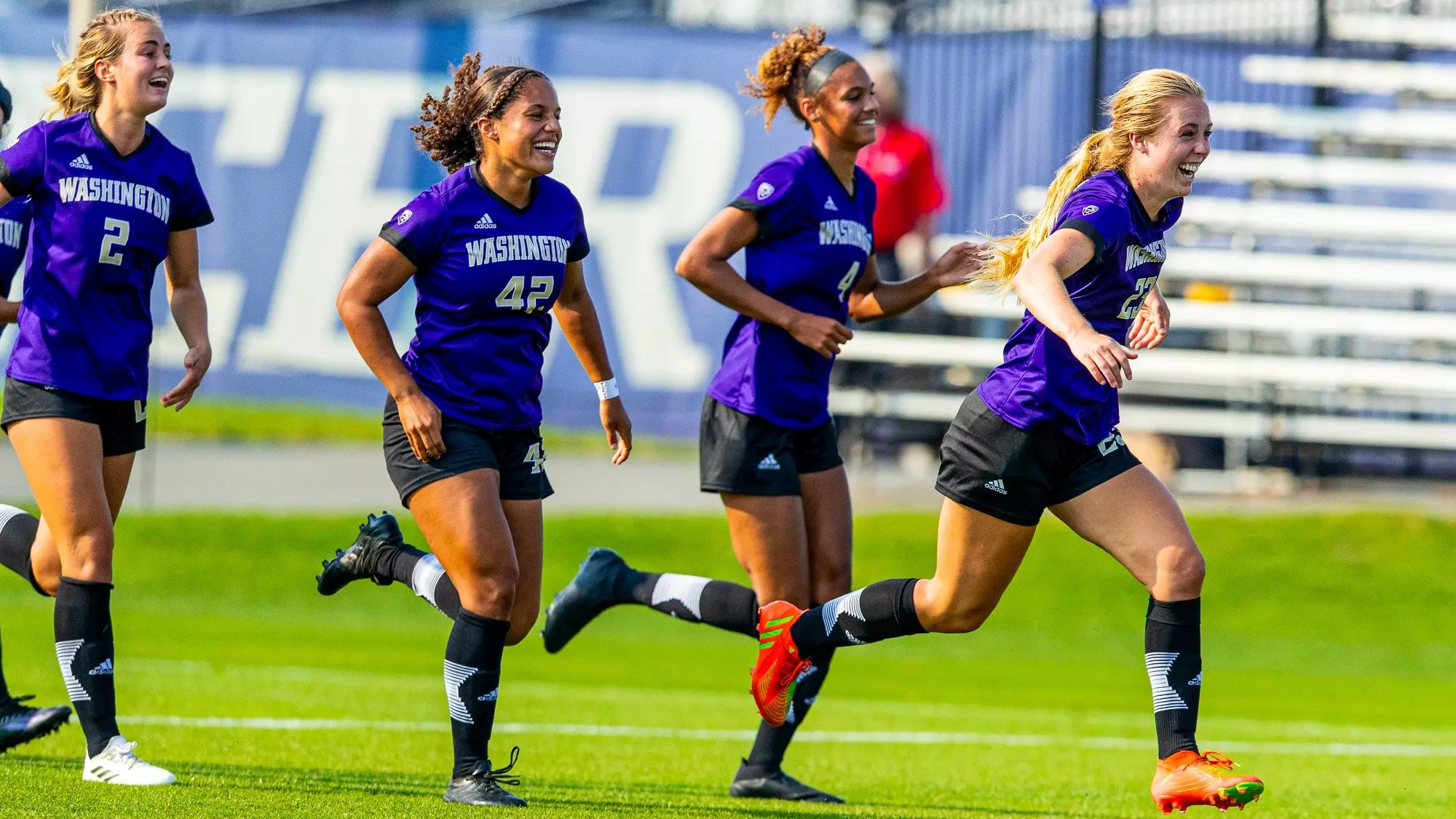 供了一个契 供了一个契