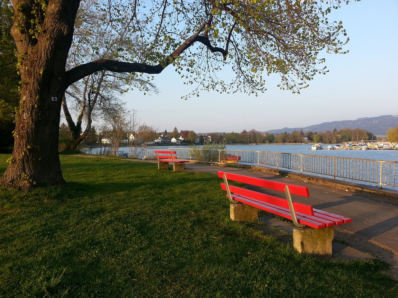 表现可能会 表现可能会